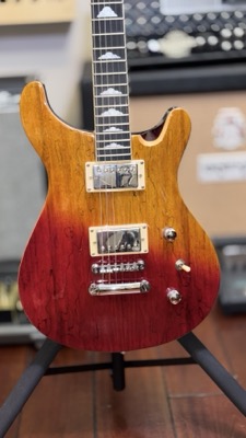 Leo Jaymz PRS-Style Replica (Angle 2)