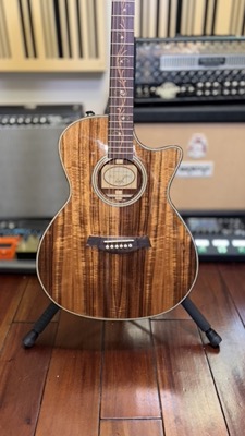 Taylor Koa Acoustic (Angle 2)
